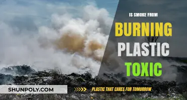 Toxic Plastic Smoke: What Are the Dangers?