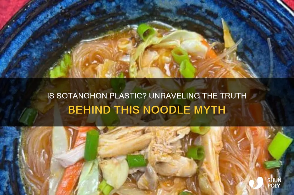 is sotanghon made of plastic