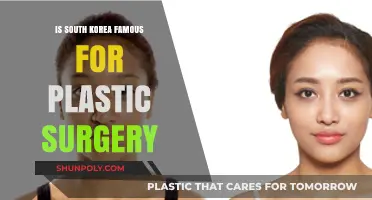 South Korea's Plastic Surgery Culture: Global Fame and Impact Explored