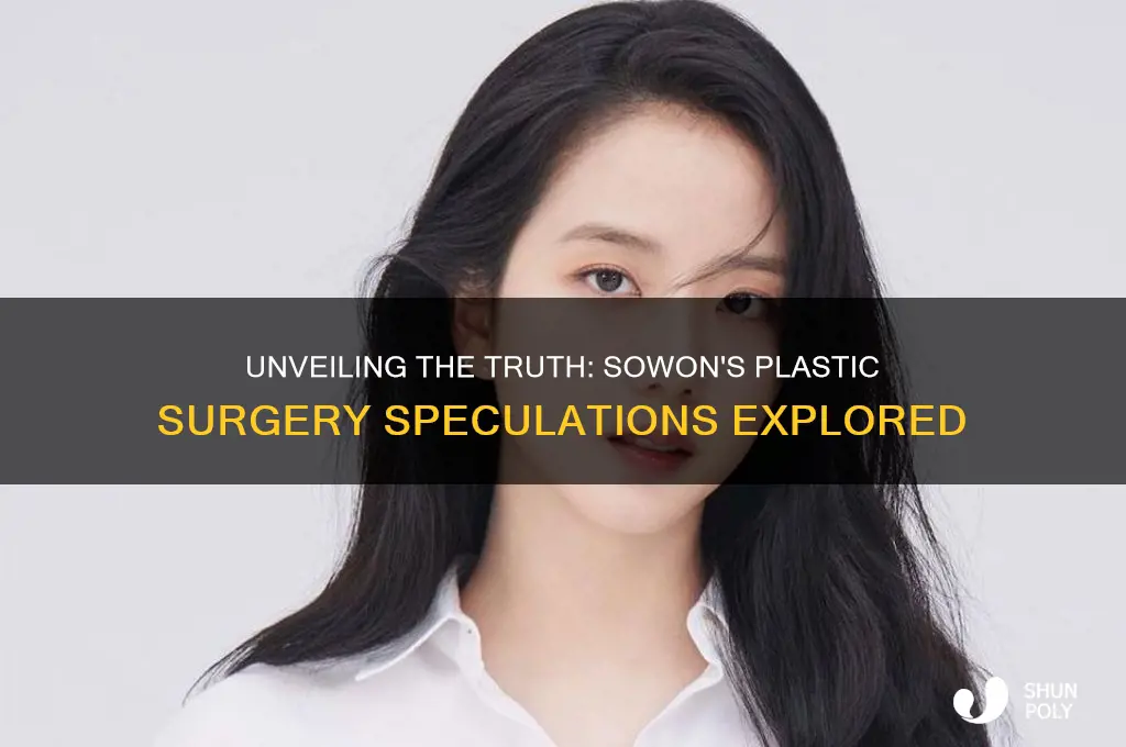 is sowon plastic surgery