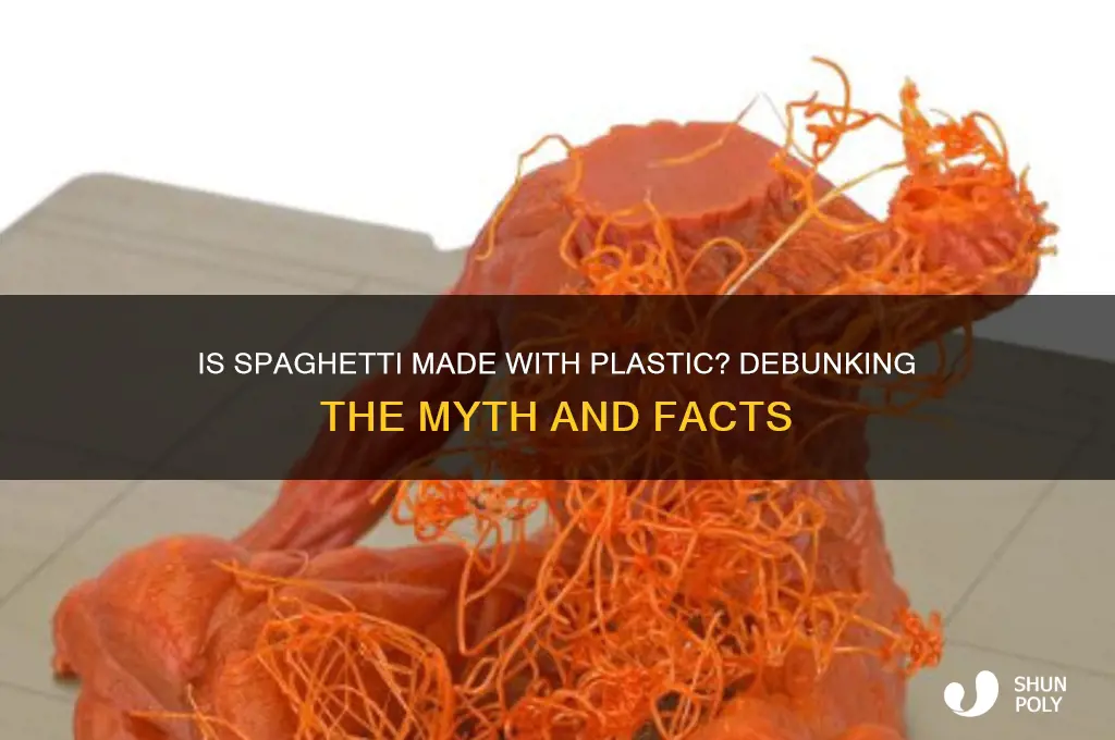is spaghetti made with plastic
