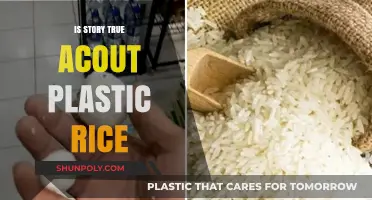 Plastic Rice: Fact or Fiction?