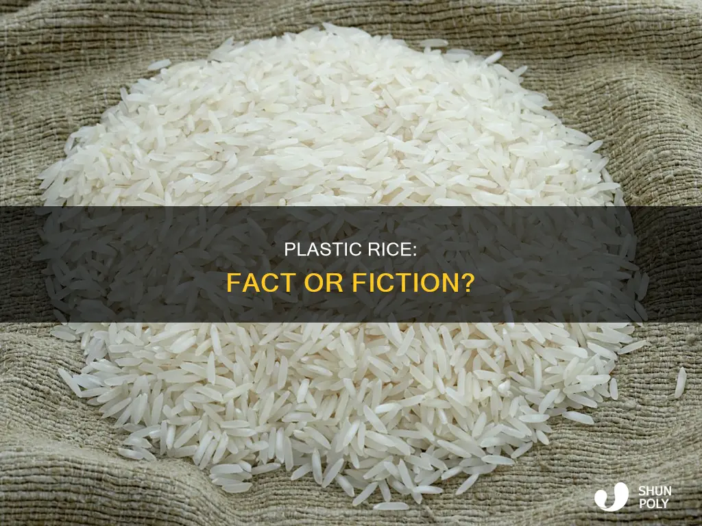 is story true acout plastic rice
