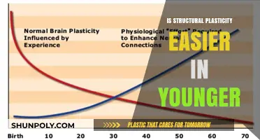 Young Brains: Easier Structural Plasticity?