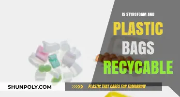 Can Styrofoam and Plastic Bags Be Recycled? The Truth Revealed