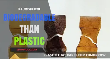 The Biodegradability of Styrofoam vs. Plastic: Which Is Better?