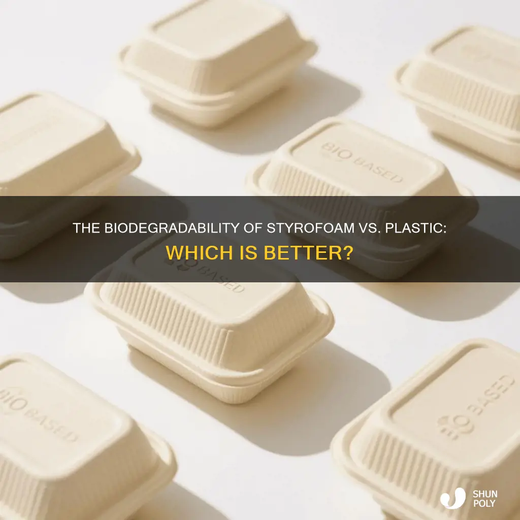 is styrofoam more biodegradable than plastic