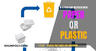 The Recycling Mystery: Styrofoam's Place in Paper or Plastic?