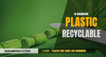 The Eco-Friendly Truth: Sugarcane Plastic's Recyclability