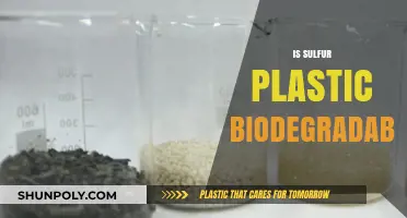 Unveiling the Truth: Is Sulfur Plastic Truly Biodegradable?