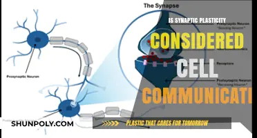 How Synaptic Plasticity Enables Cell Communication