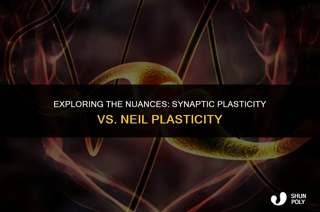 is synaptic plasticity the same as neil plasticity