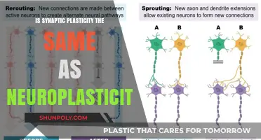 Understanding Synaptic Plasticity: Neuroplasticity's Core Mechanism