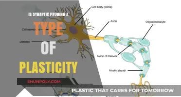 Synaptic Pruning: A Unique Form of Brain Plasticity