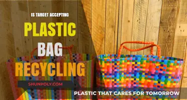 Target's Plastic Bag Recycling Program: What You Need to Know
