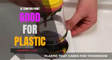 Tempera Paint on Plastic: Worth It?