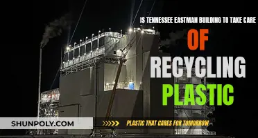 Tennessee Eastman's Commitment to Plastic Recycling