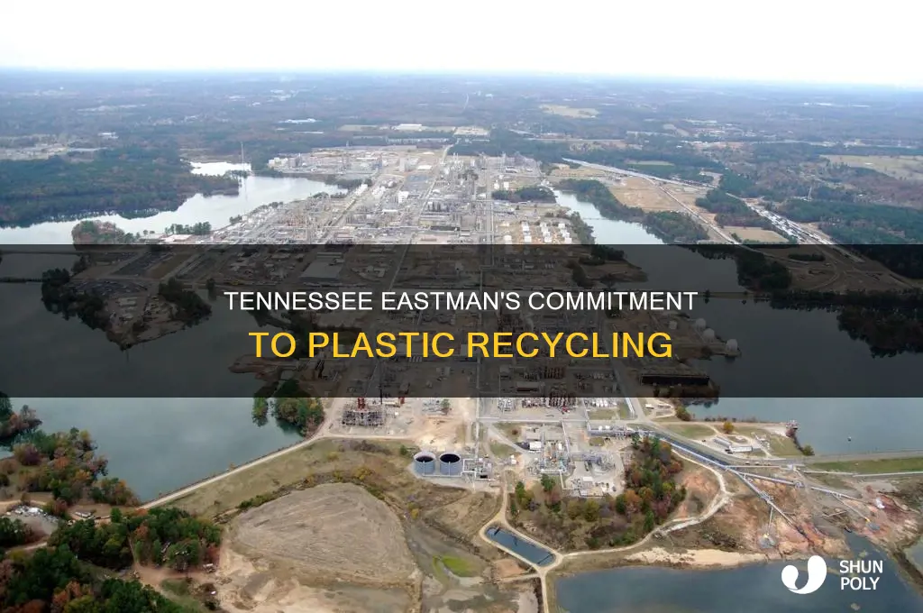 is tennessee eastman building to take care of recycling plastic