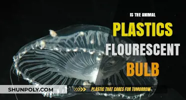 Plastics Fluorescent Bulb: Animal-Friendly Lighting