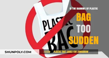 Is the Plastic Bag Ban Too Abrupt for Consumers?