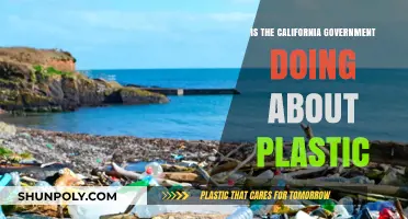 California's War on Plastic: What's the Government's Plan?