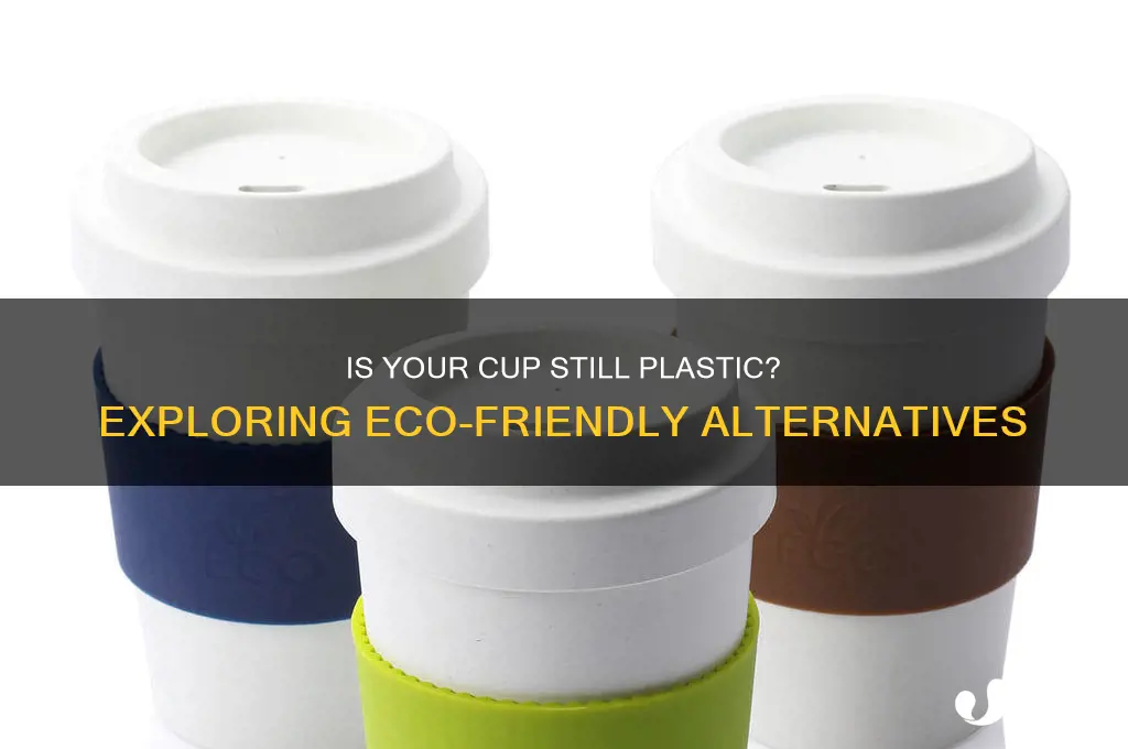 is the cup still made of plastic