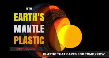The Earth's Mantle: Plastic or Solid?