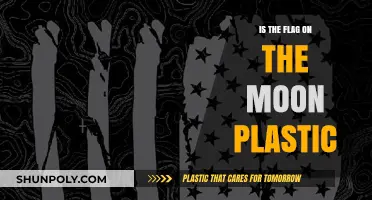 Plastic Flag on the Moon: Fact or Fiction?