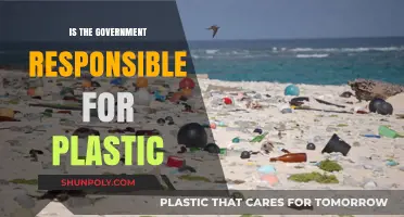 Who's to Blame for Plastic Pollution?