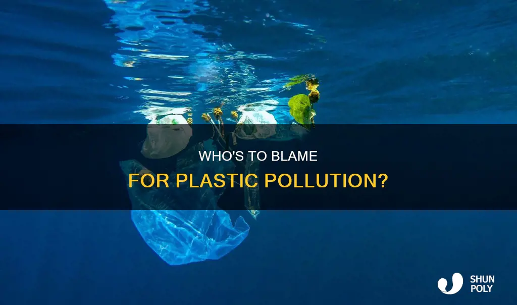 is the government responsible for plastic