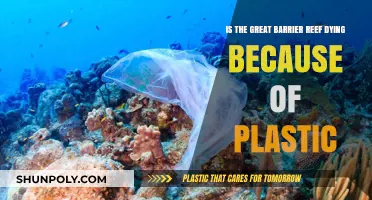 The Great Barrier Reef's Plastic Plague: A Critical Examination
