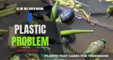 Plastic Plague: The Nile River's Growing Environmental Crisis