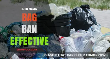 Plastic Bag Ban: Effective Solution or Symbolic Gesture?