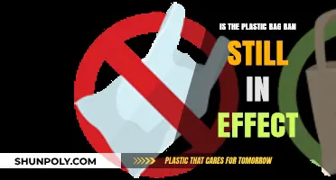 Plastic Bag Ban Update: Is It Still Enforced in 2023?