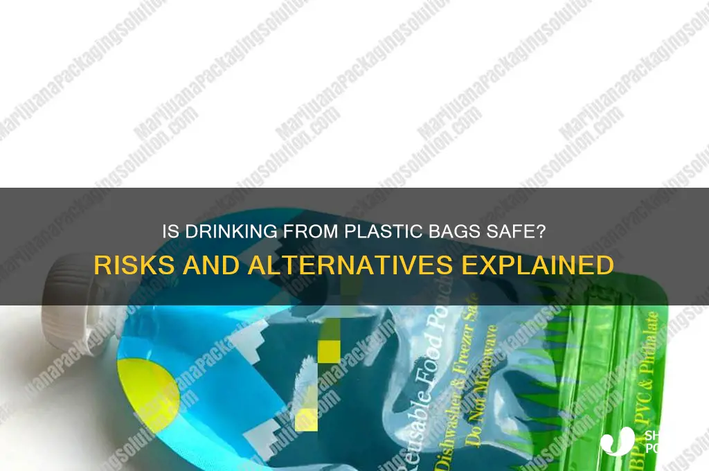 is the plastic bag safe to drink out of