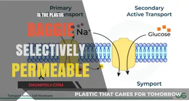 Plastic Baggie: Selective Permeability and You