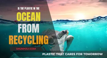 Ocean Plastic: Is Recycling the Real Culprit?
