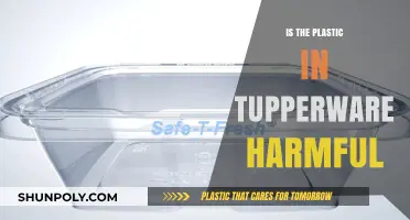Harmful Plastics: Are Tupperware Containers Safe?