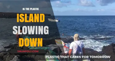 The Plastic Island: Slowing or Growing?