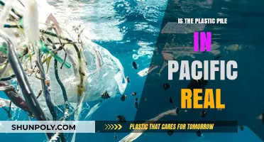 The Pacific Plastic Patch: Fact or Fiction?