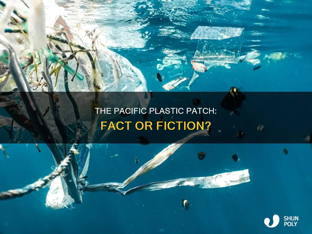 is the plastic pile in pacific real