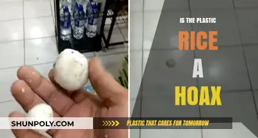 Plastic Rice: Hoax or Real Health Threat?