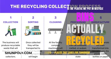 Plastic Recycling: Are Our Efforts Really Effective?