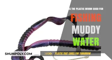 Angling Insights: The Effectiveness of Plastic Worms in Muddy Waters