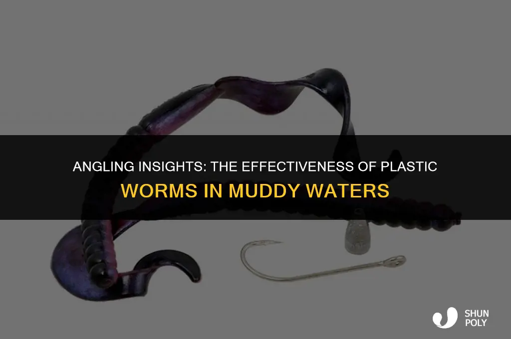 is the plastic worm good for fishing muddy water