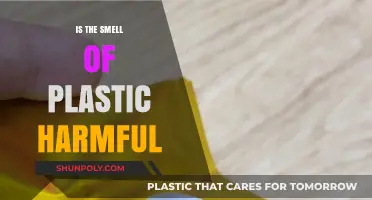 Plastic Smell: Is It Toxic?
