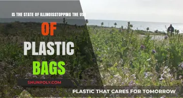 Illinois Bans Plastic Bags: A Step Towards Sustainability?