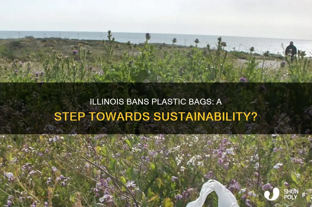 is the state of illinoisstopping the use of plastic bags