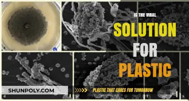 The Future of Plastic: Virally Engineered Solutions