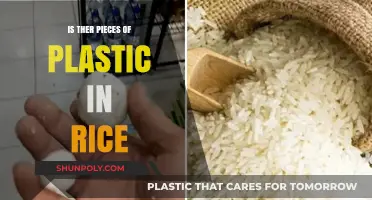 Plastic in Rice: Is it Real?